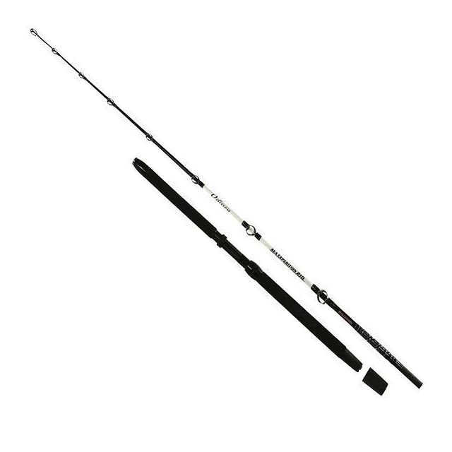 Rods & Essentials Rods > Sea Fishing